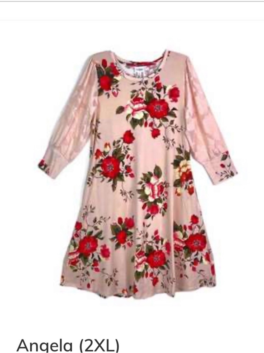 Lularoe 2X Pink Angela Dress